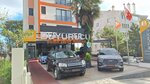 Buyurucu Otomotiv (İstanbul, Uskudar, Nuh Kuyusu Cad., 54), car dealership