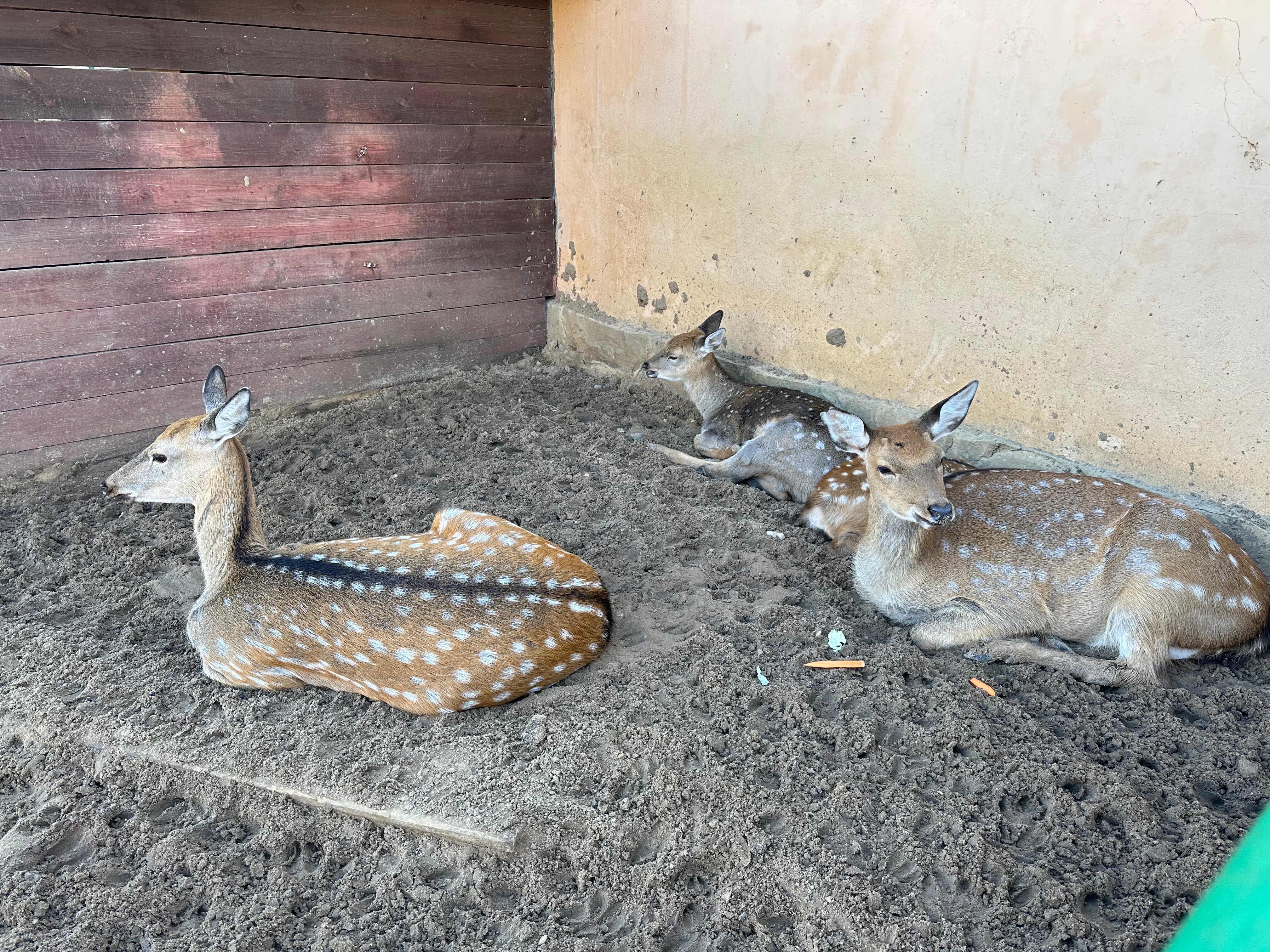 Фото Хижина рыбака
