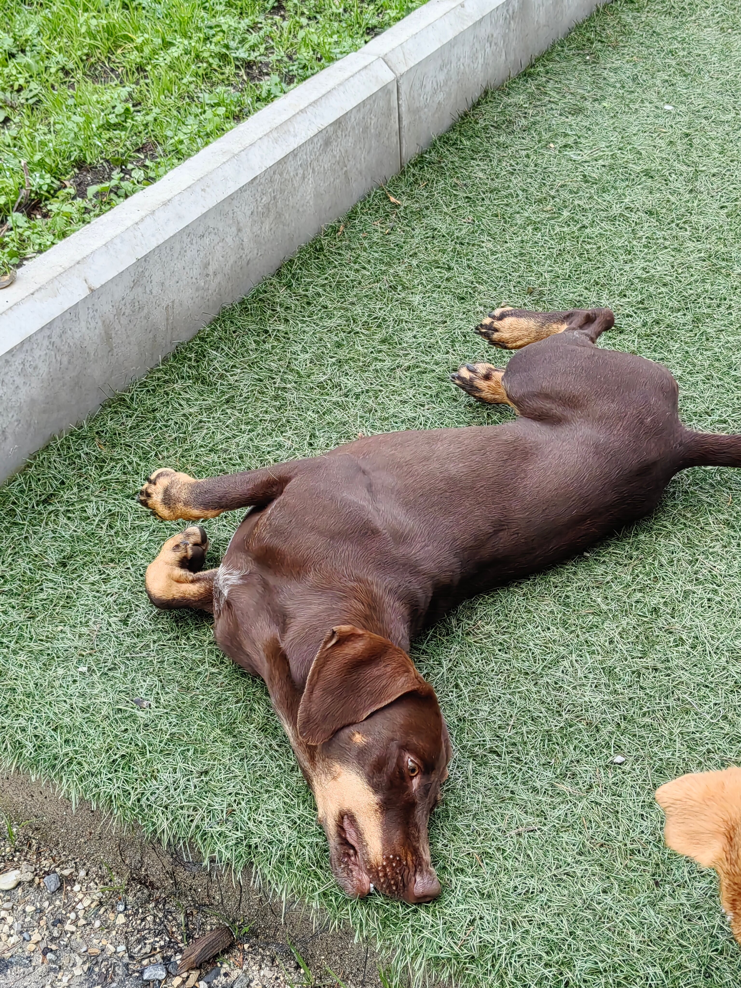 Фото Eco House Pitiunt