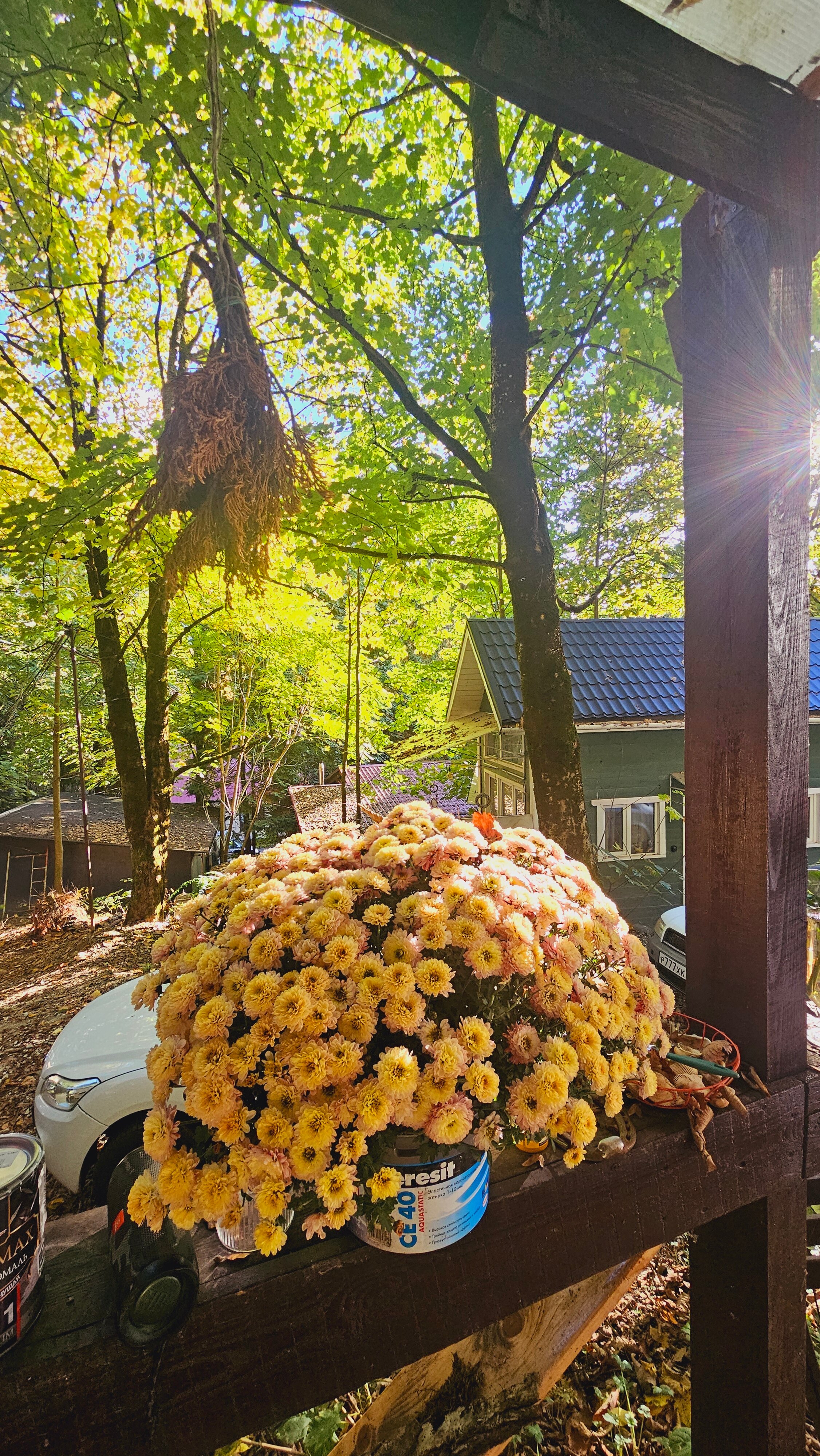 Фото Горный воздух