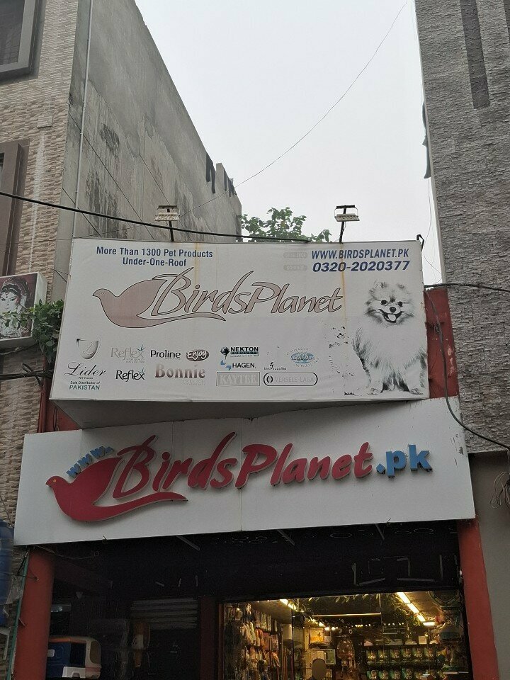 Pet shop Birds Planet, Lahore, photo