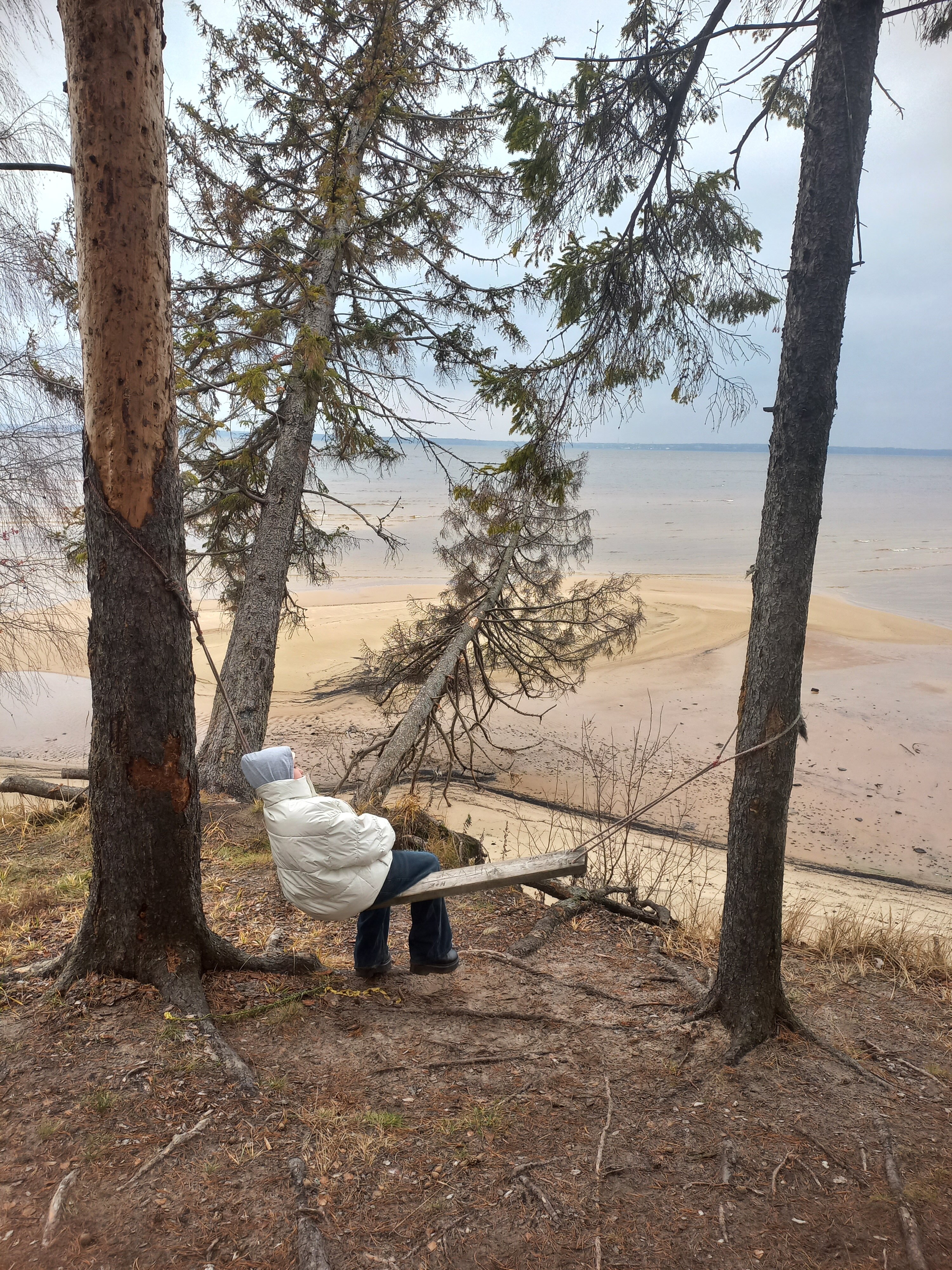 Фото Обсидиан