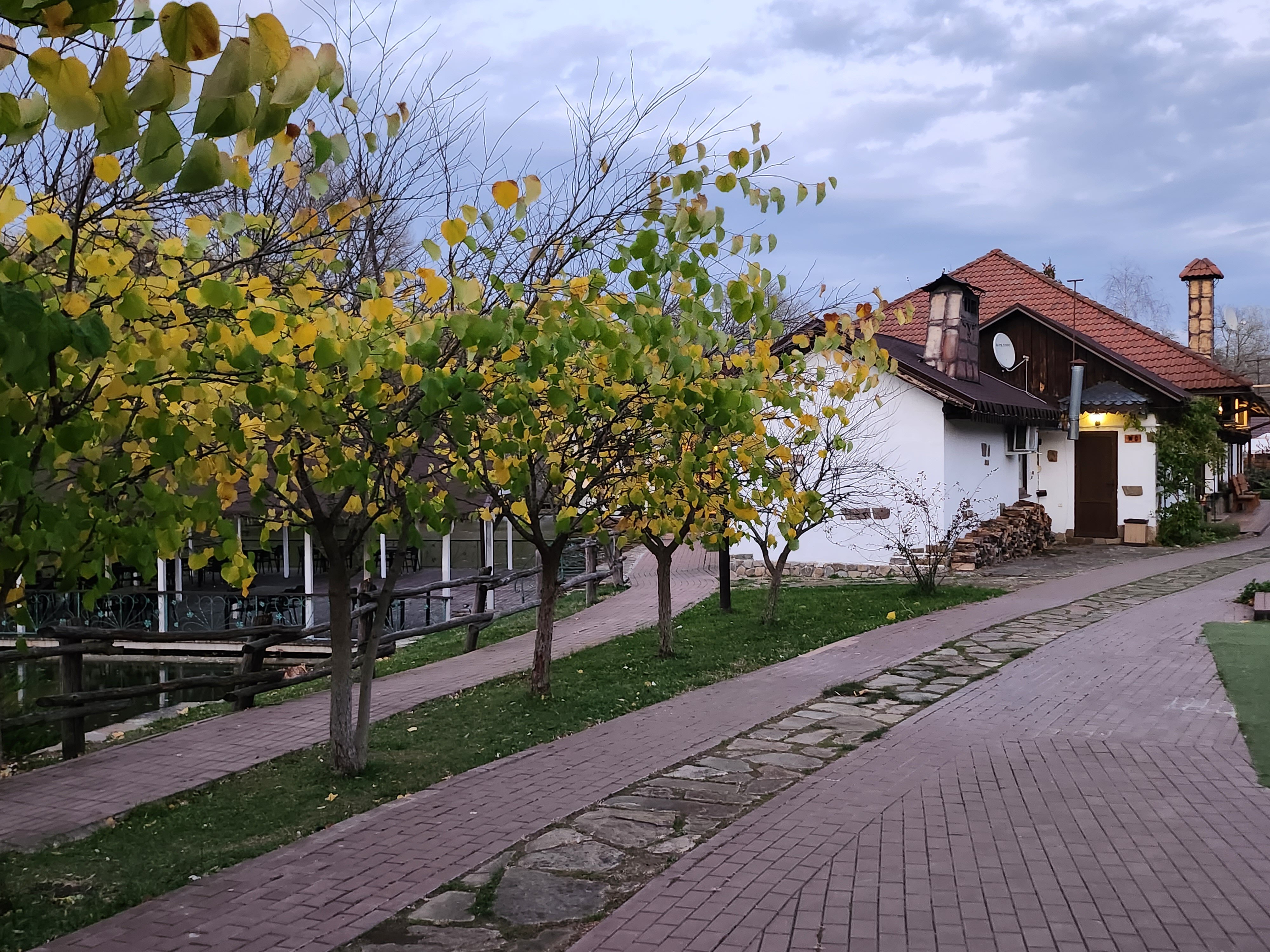 Фото Кура-цеце