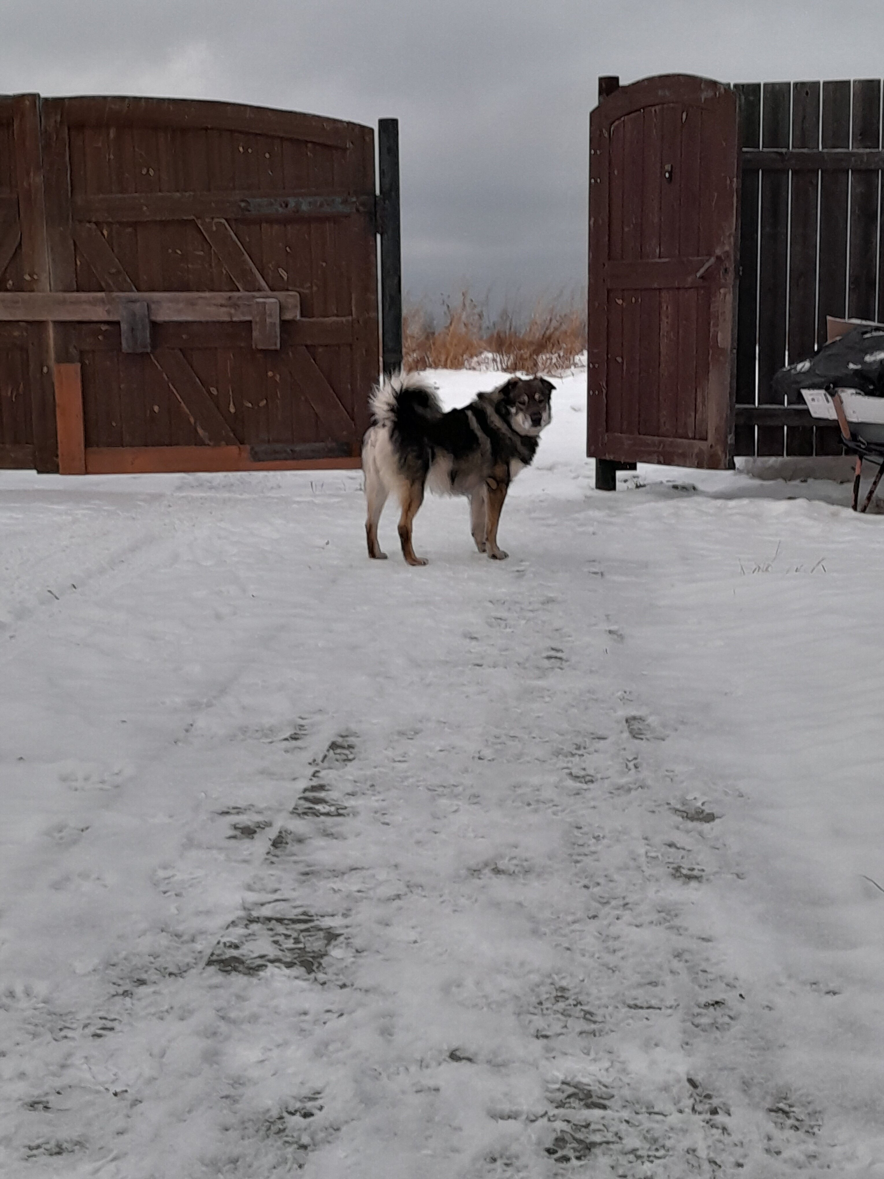 Фото Домик у озера