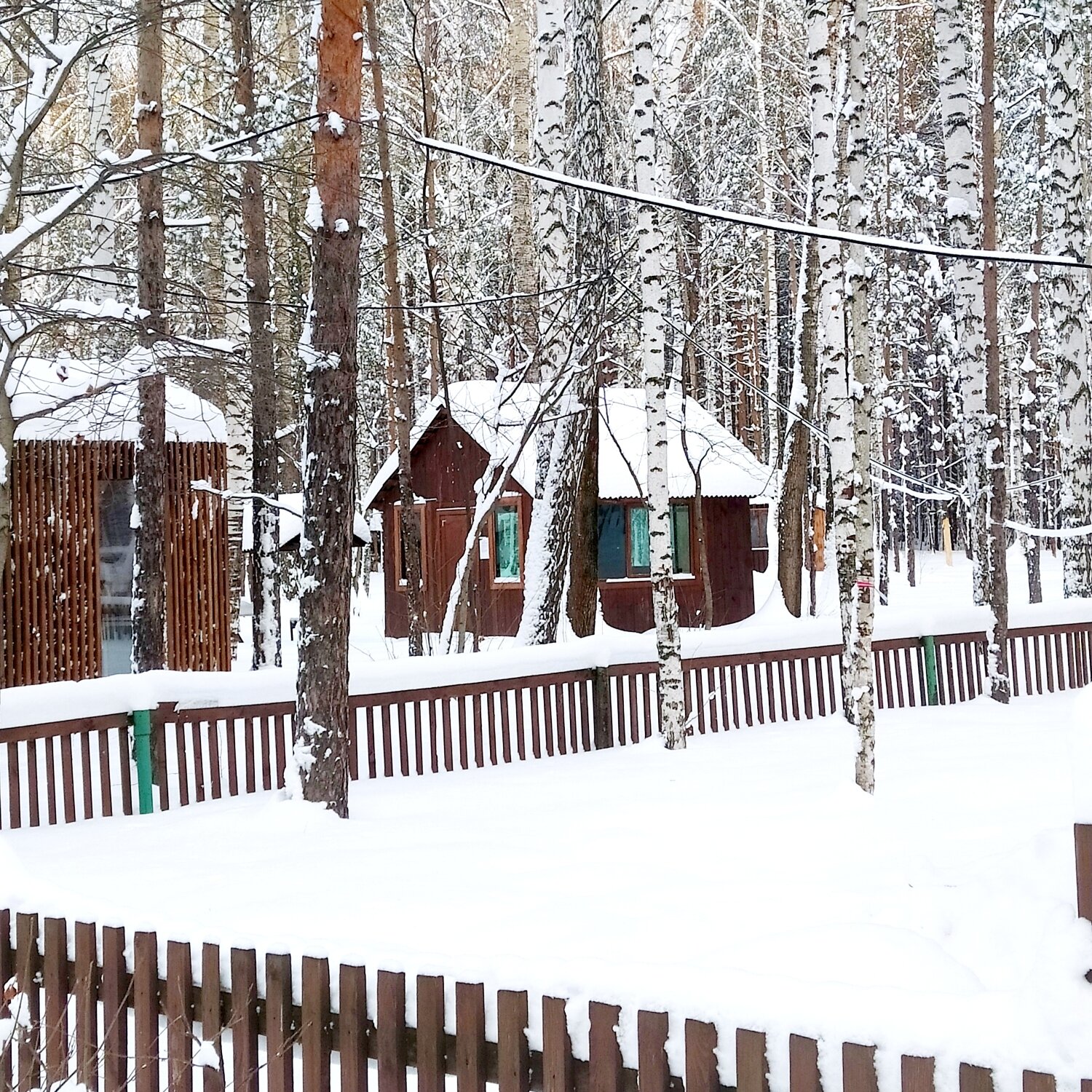 Фото Avs Отель