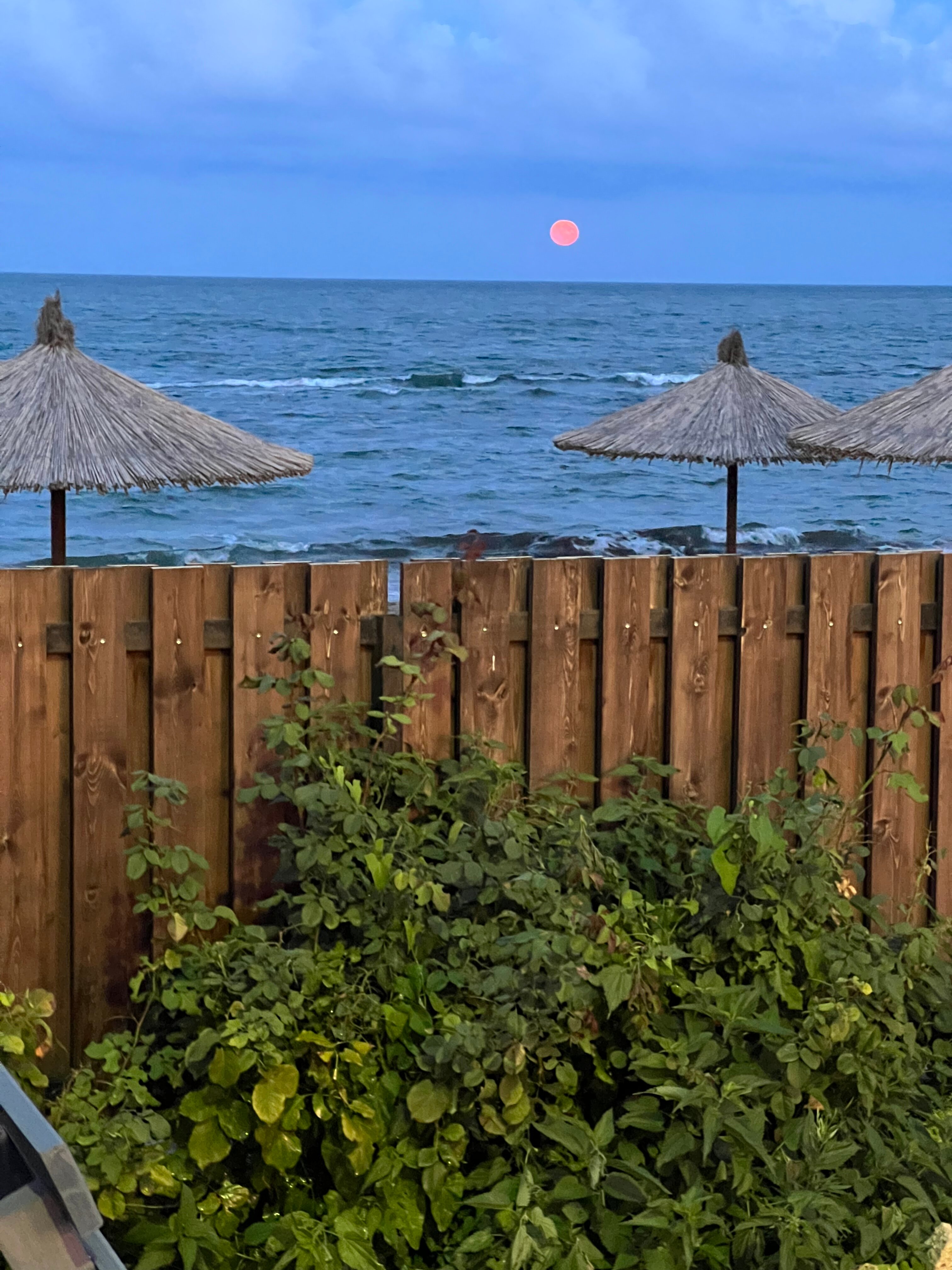 Фото Marriott дома у моря