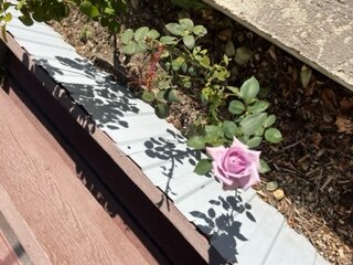 Фото Легенда