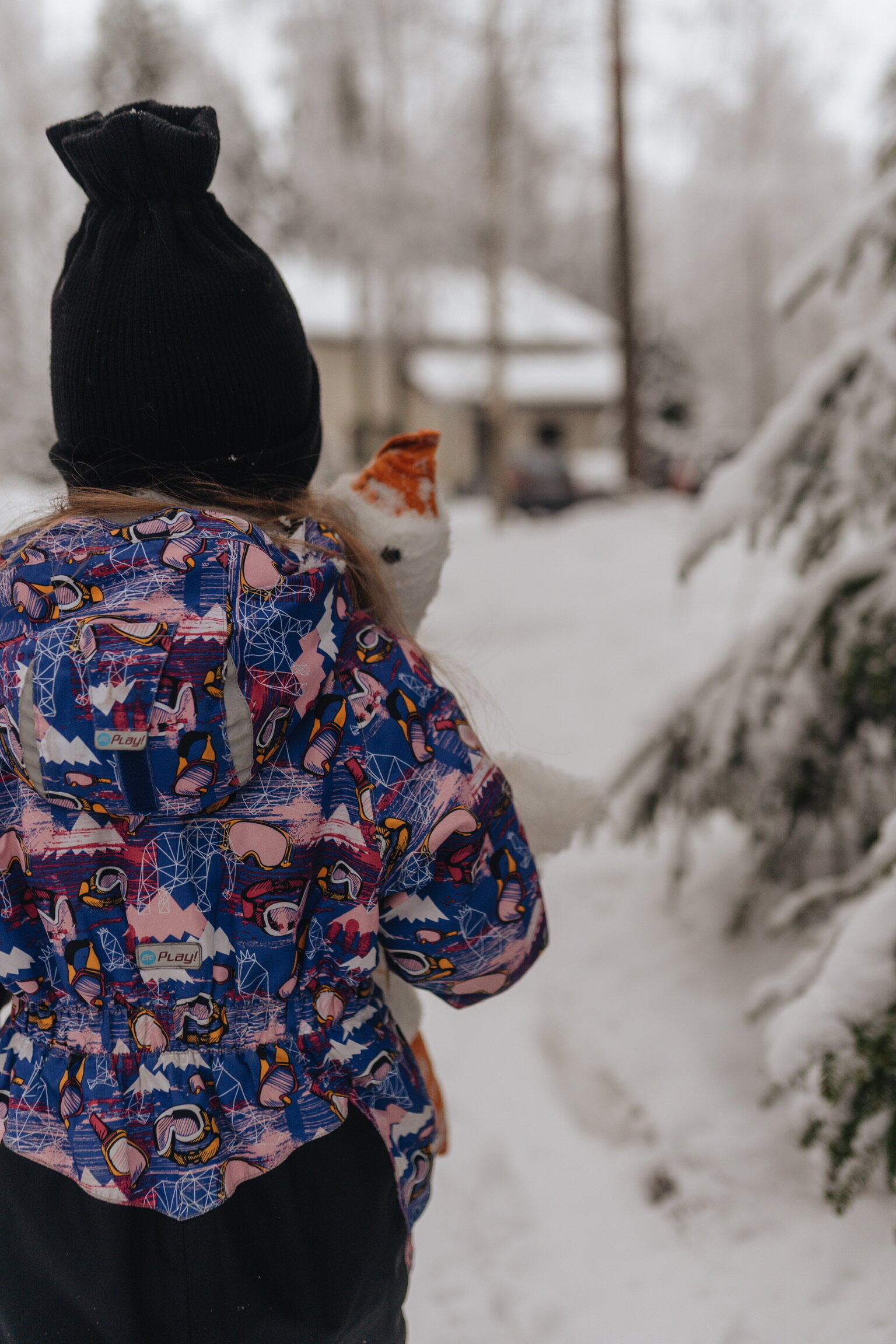 Фото Волшебный лес