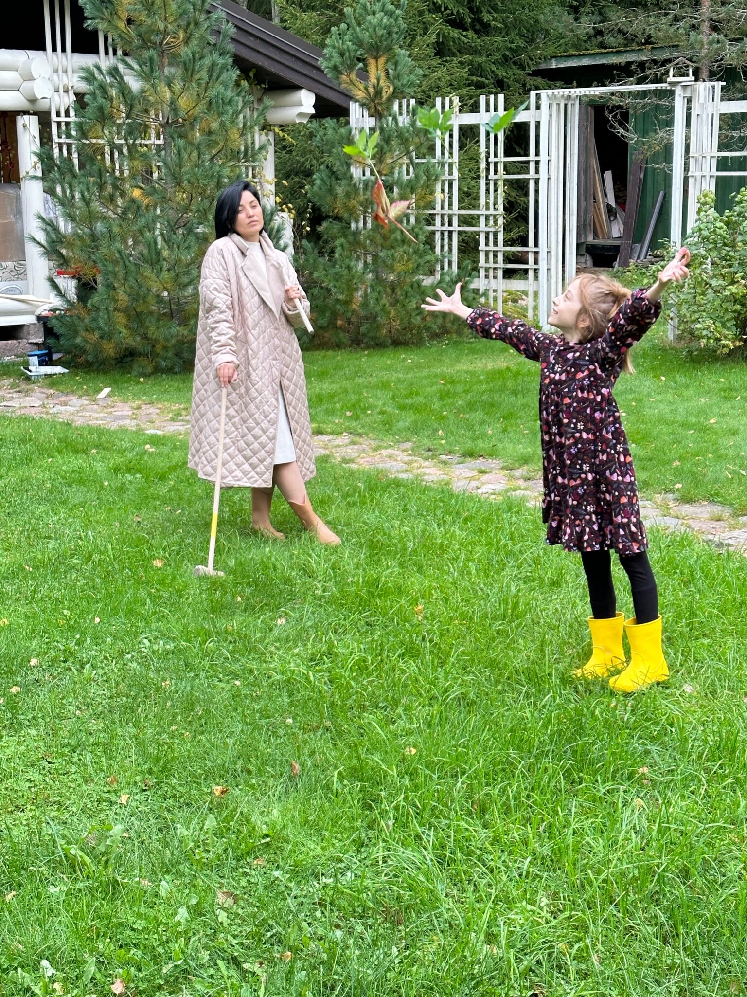 Фото Волшебный лес