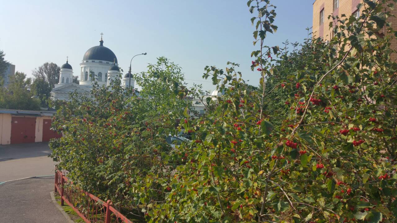 Фото Матрёшки