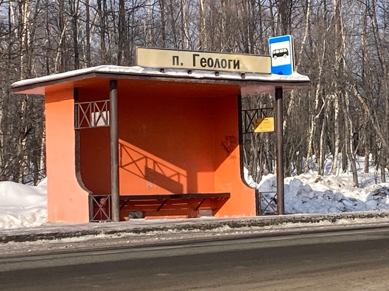 Фото Лесная поляна