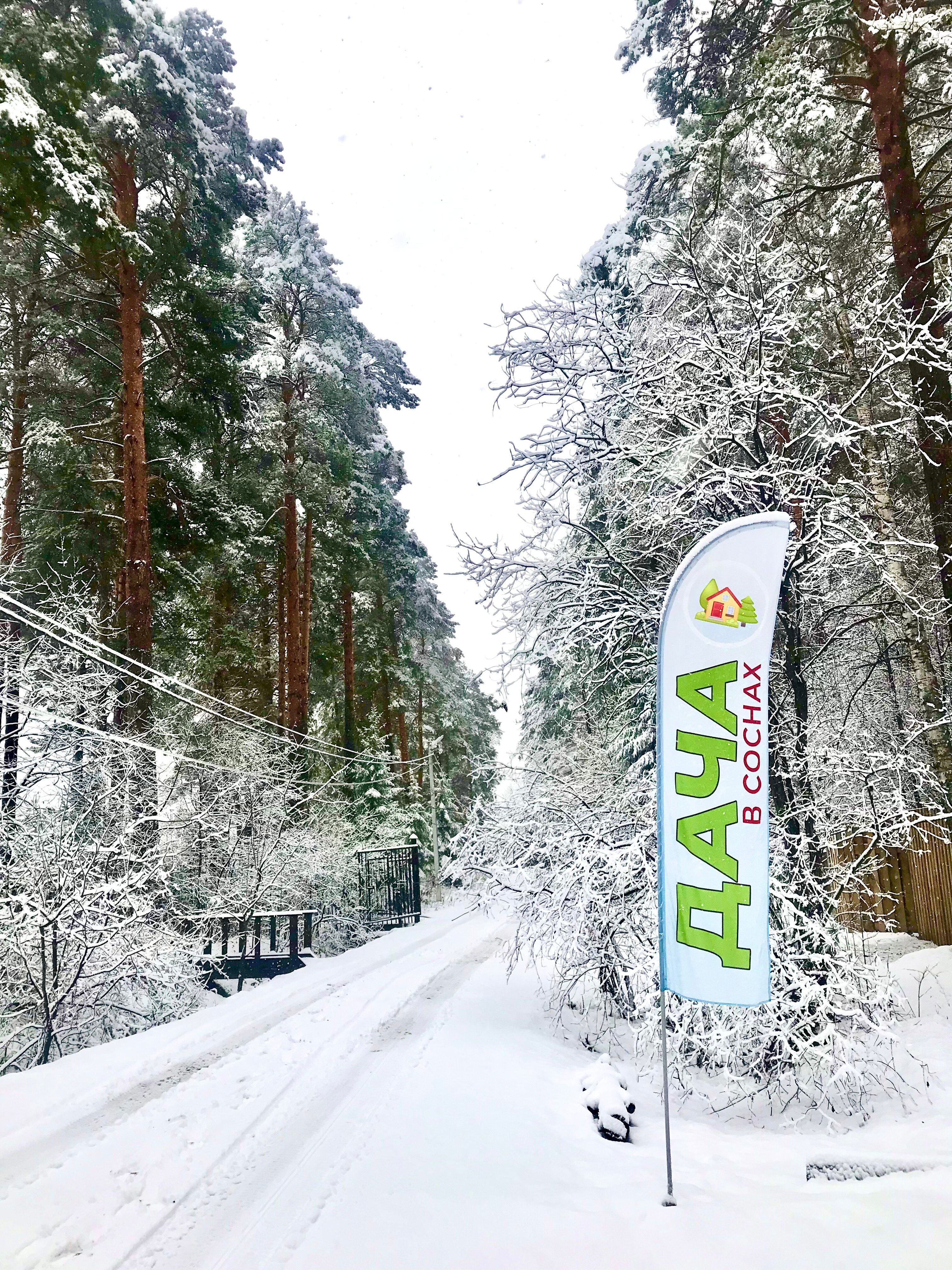 Фото Дача в соснах