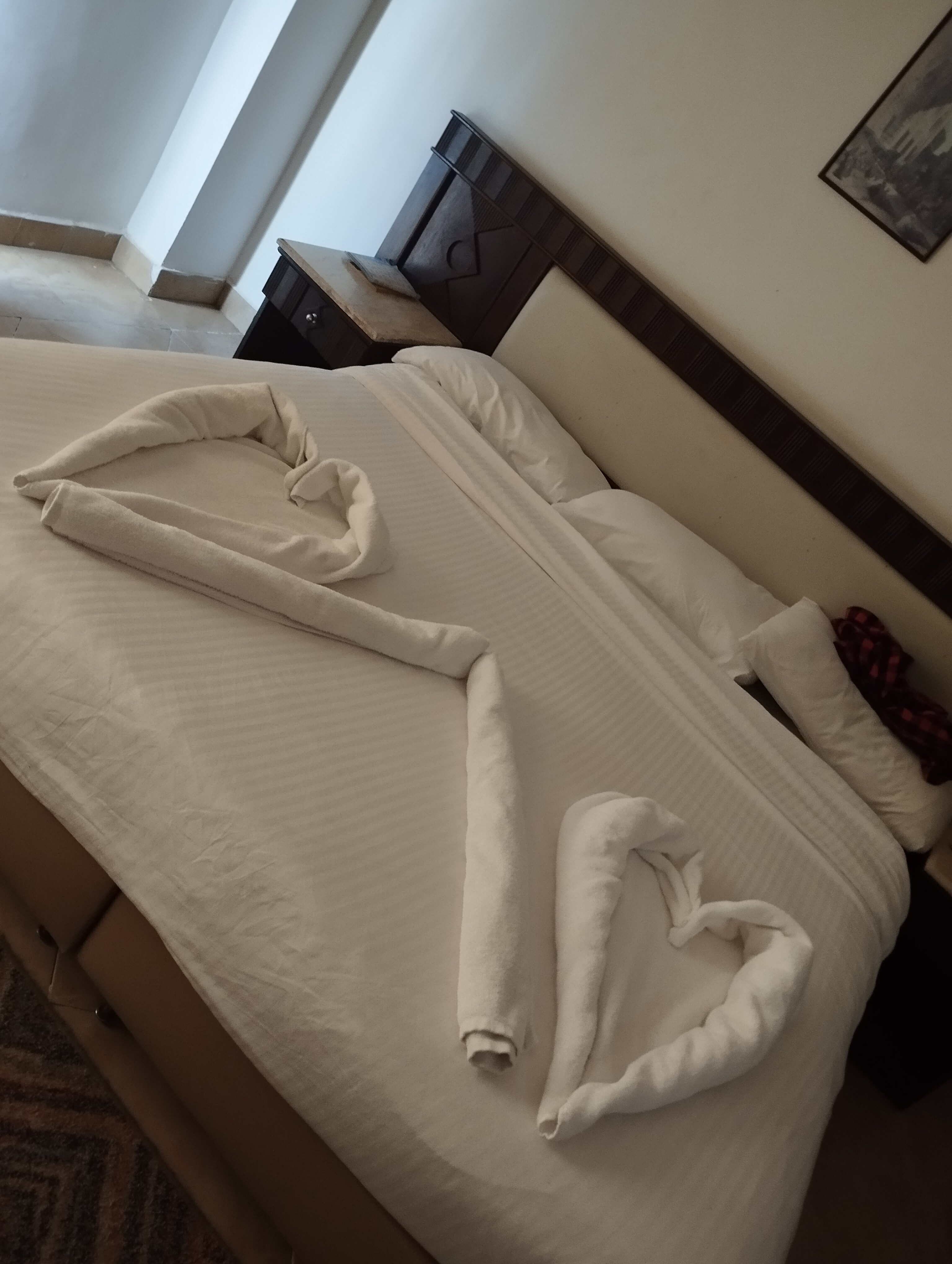 Фото Falcon Naama Star