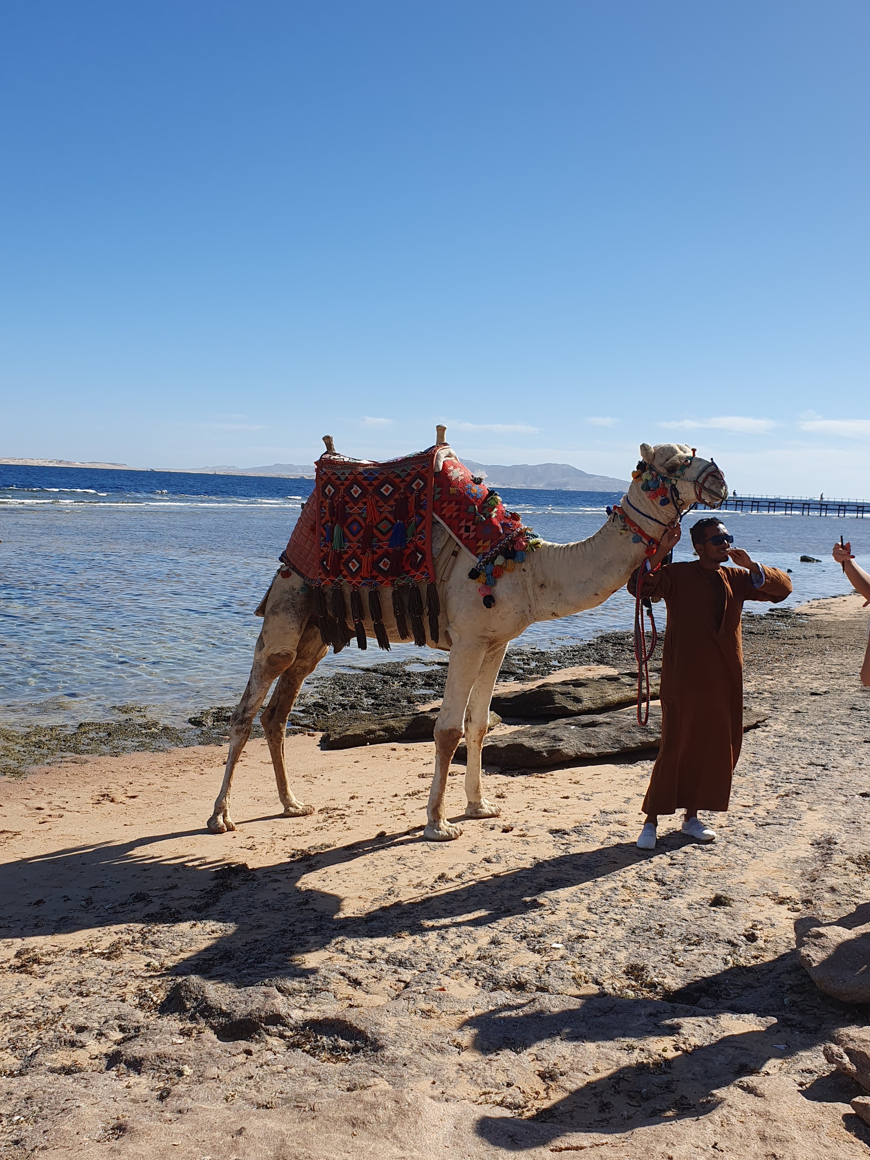 Фото Sharm Grand Plaza