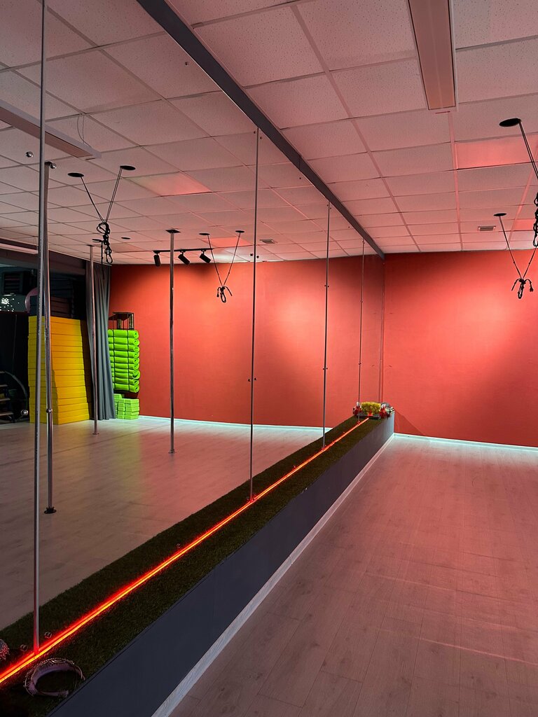 Sports hall, gym Федерация пилонной акробатики, Primorsky Krai, photo