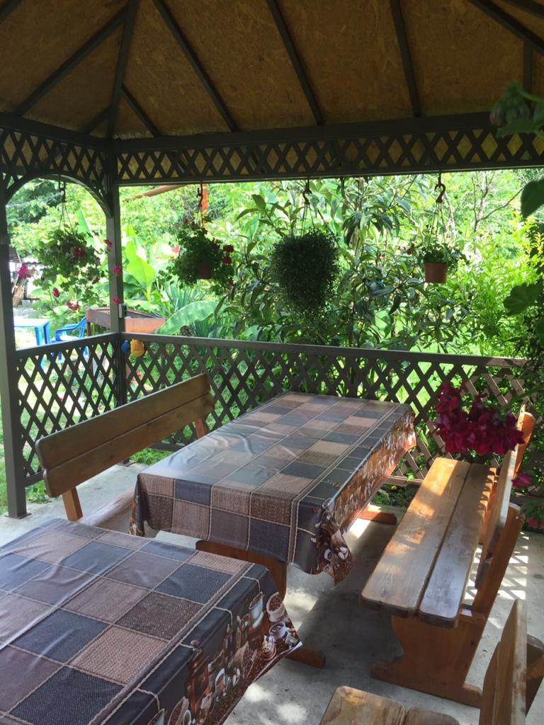 Фото Зеленый рай