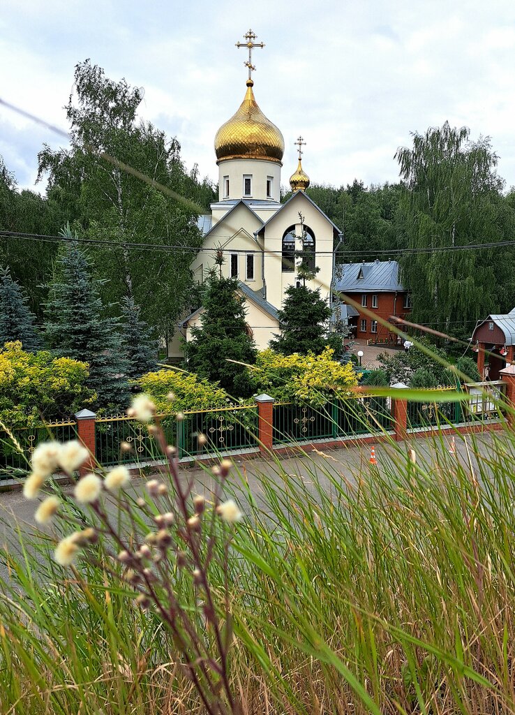 Православный храм Церковь святителя Тихона, патриарха Всероссийского, Московский, фото