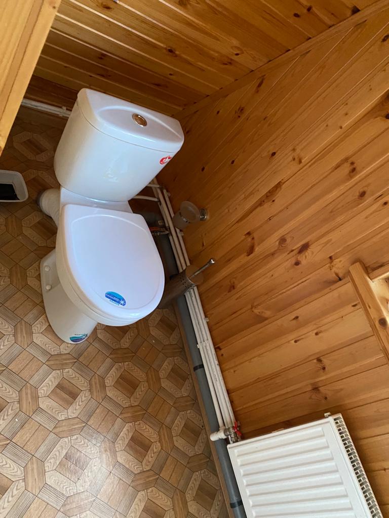 Фото Морошка