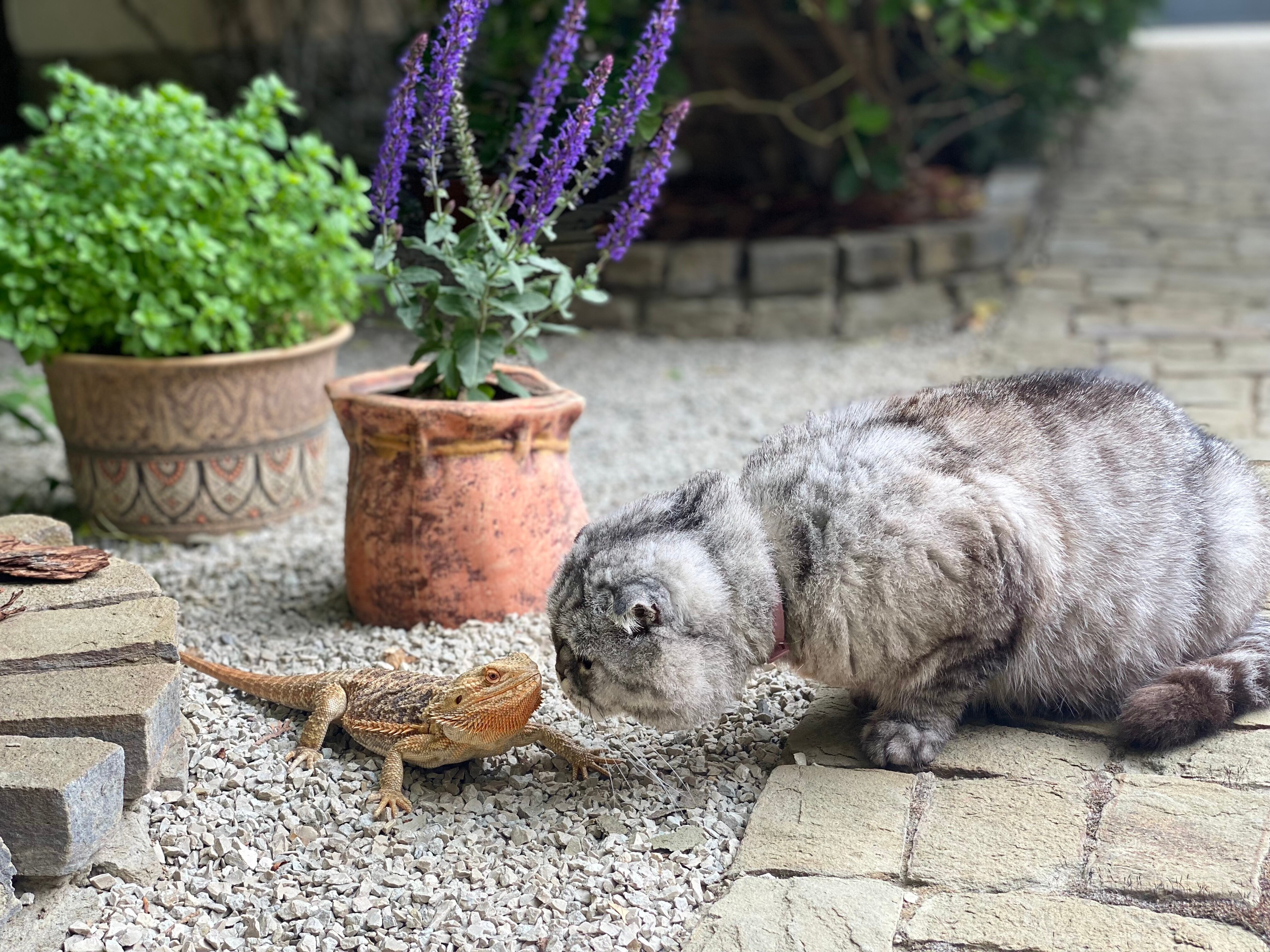 Фото Вилла Феллини