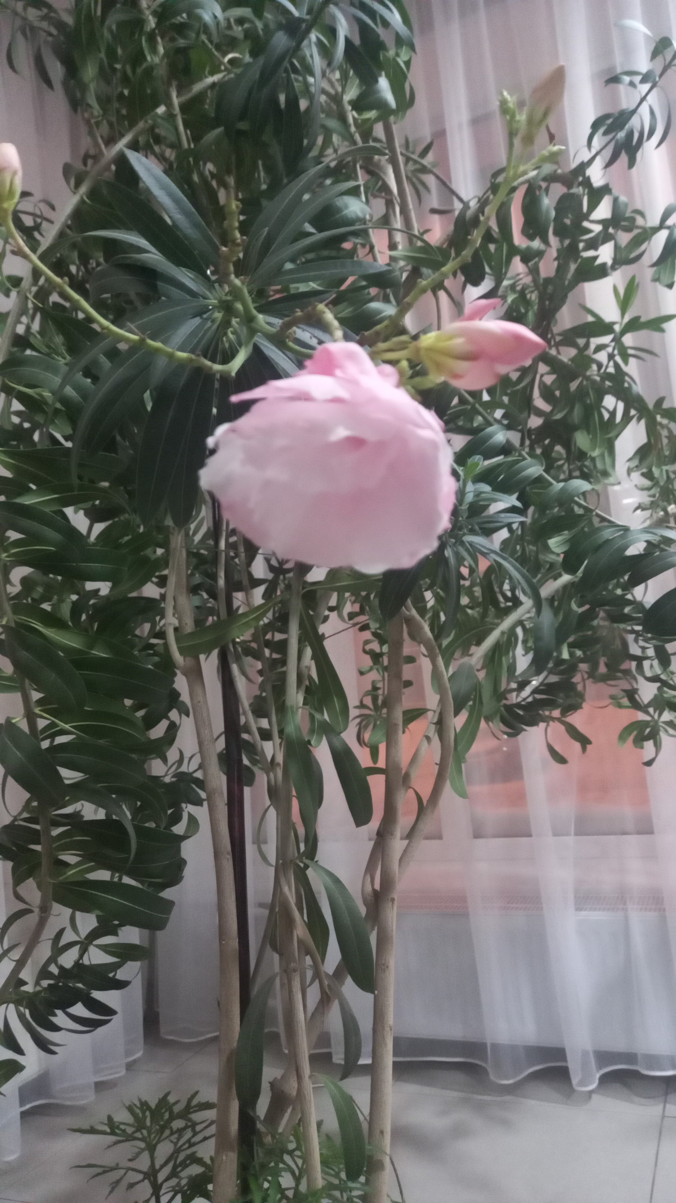 Фото Первоуральск