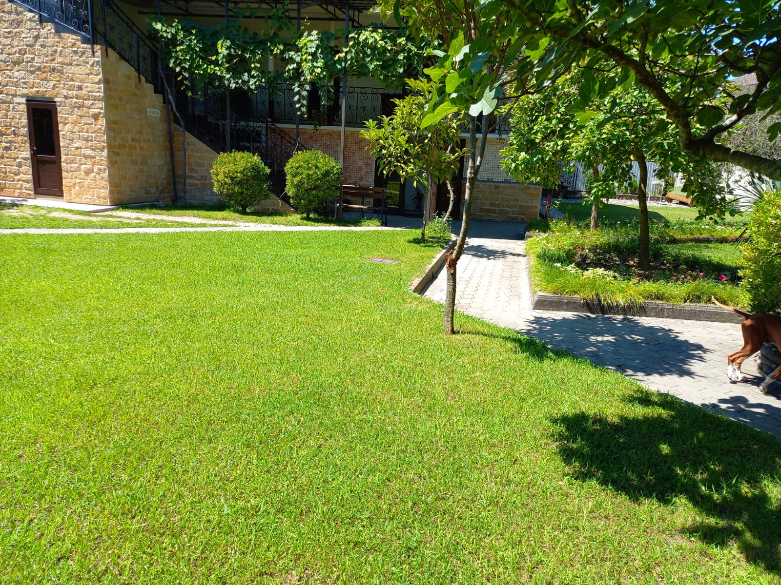 Фото Салангана