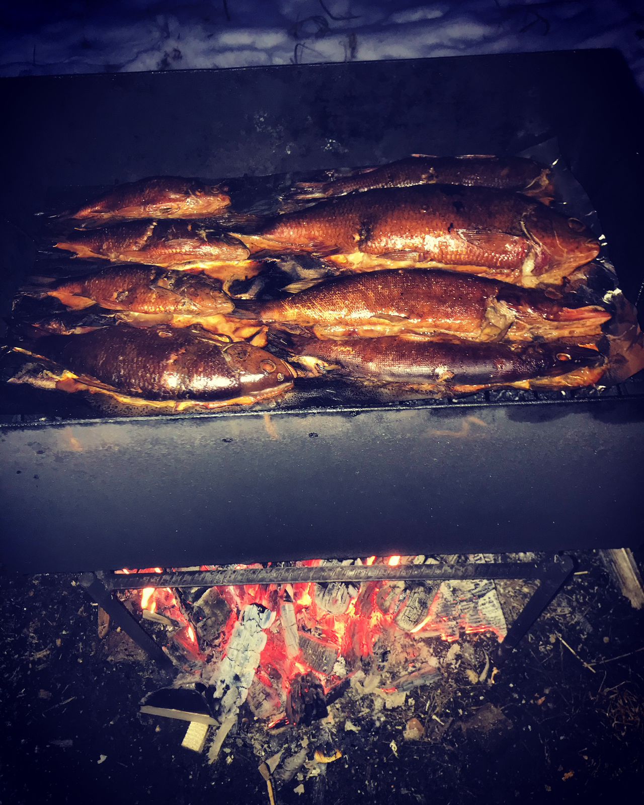 Фото Волго. Дача