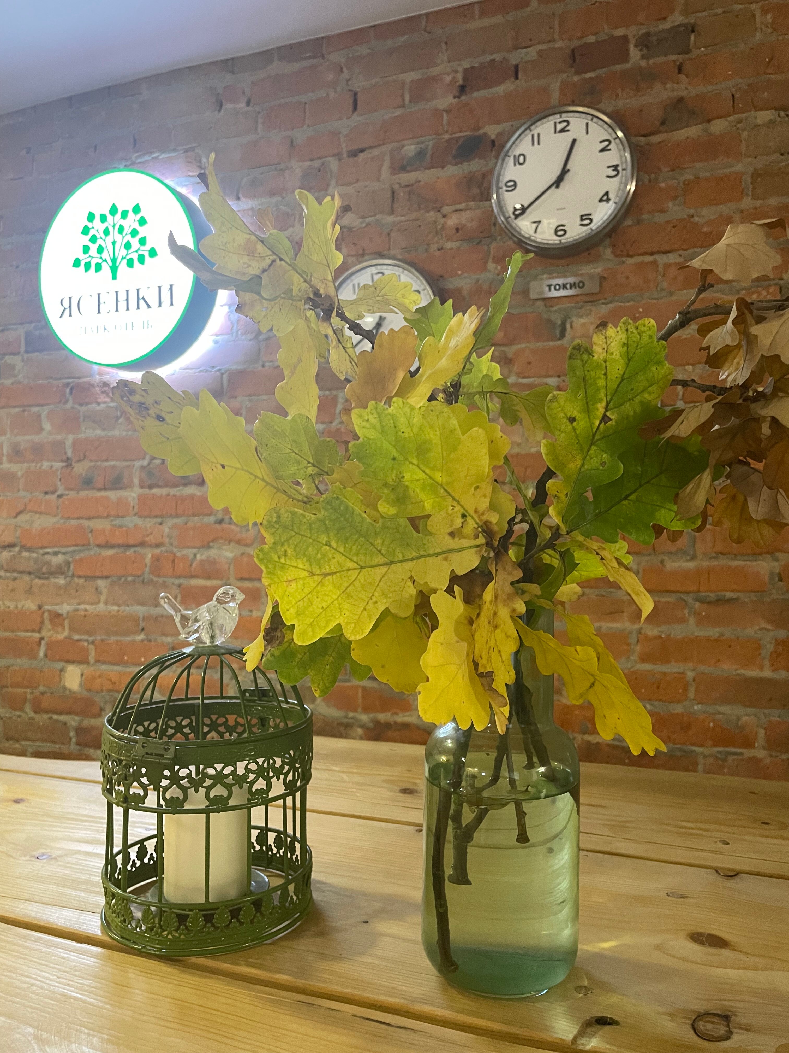 Фото Ясенки