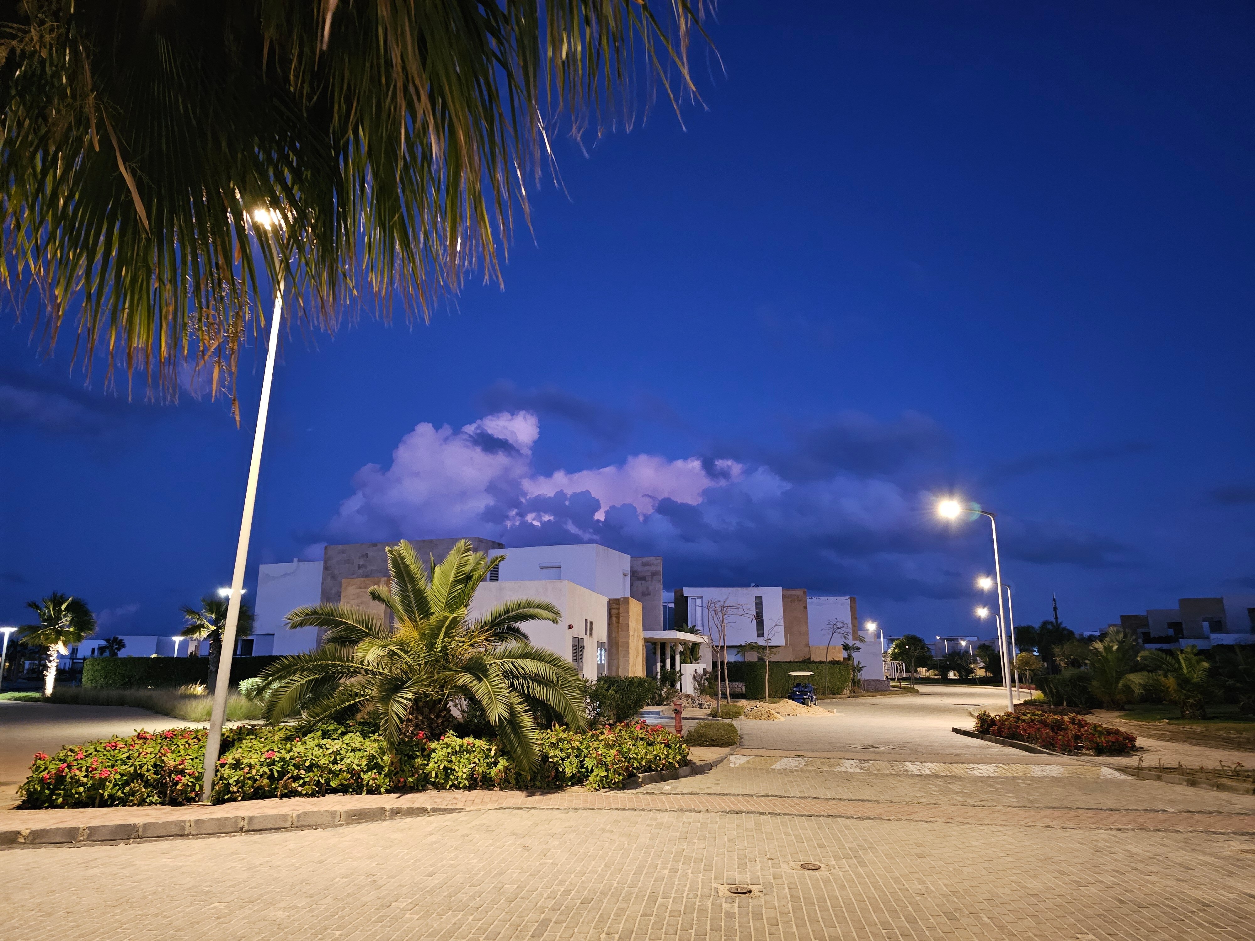 Фото The G Seashell