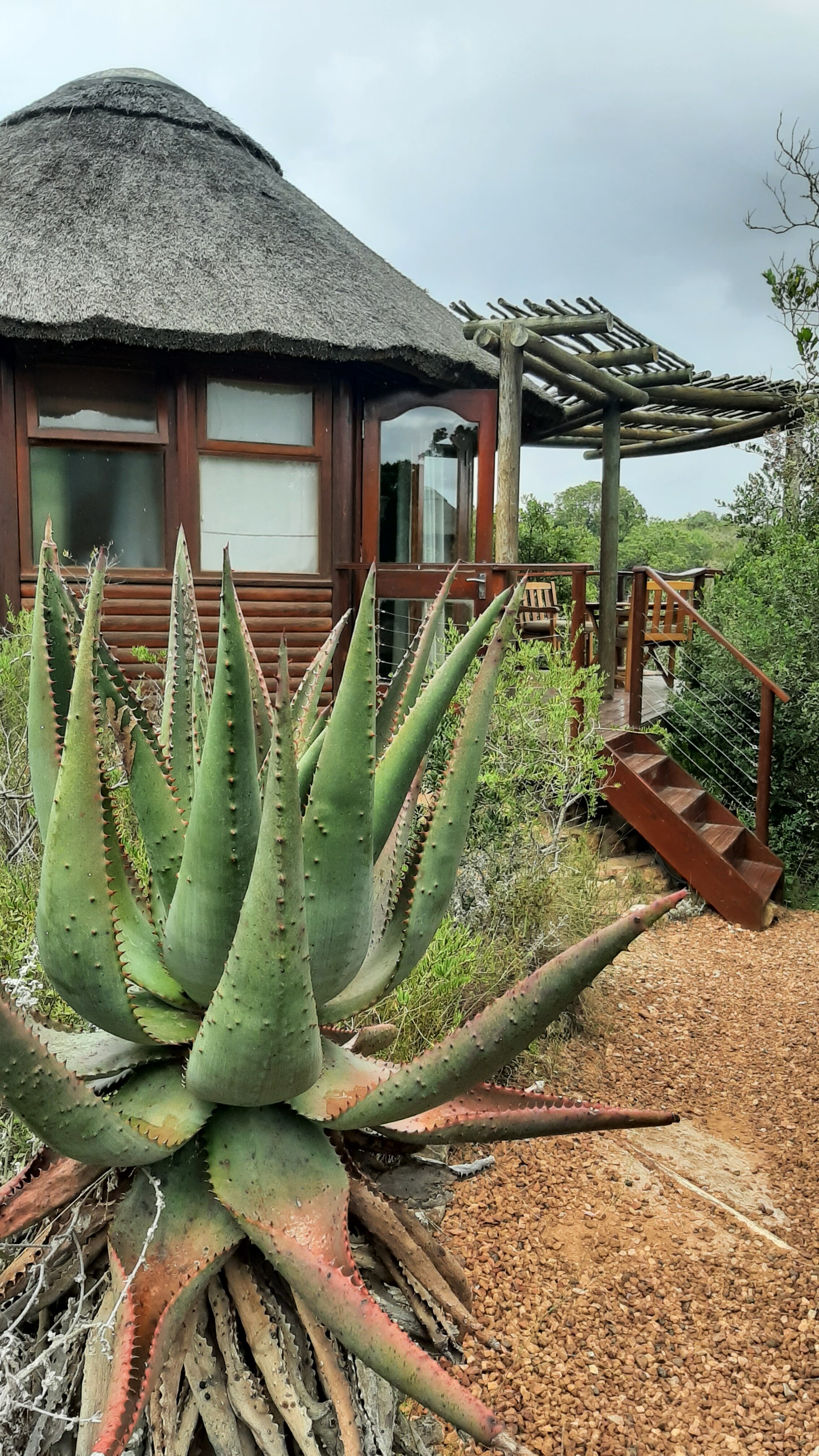 Фото Garden Route Game Lodge