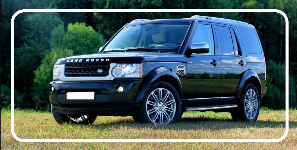 Фото Гнёздышко