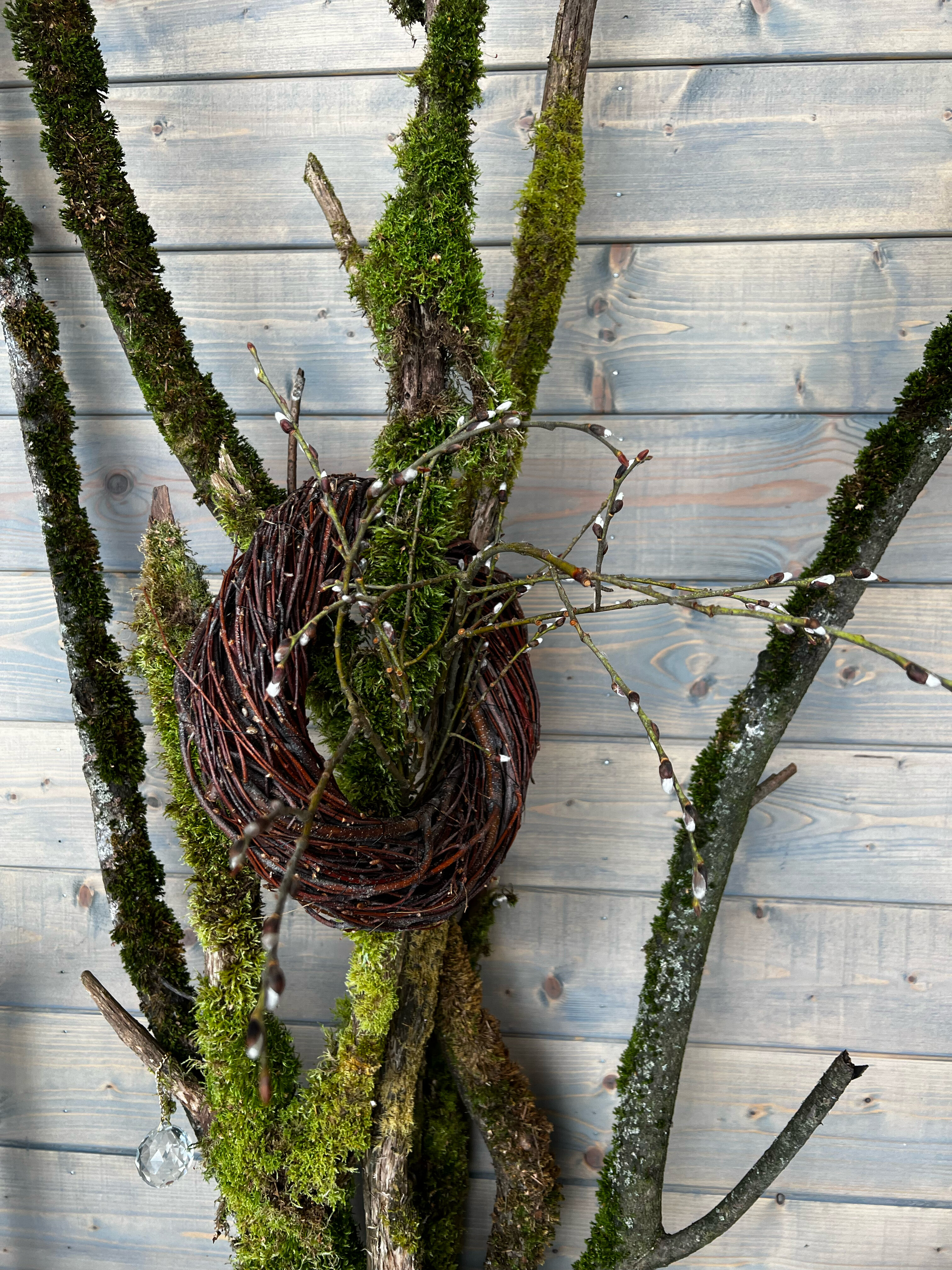 Фото Fraubu. camp