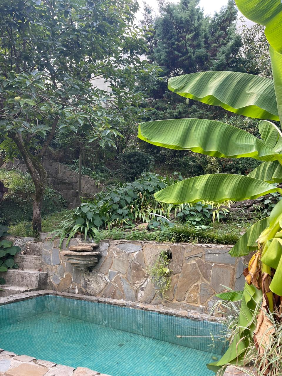 Фото Зеленые холмы