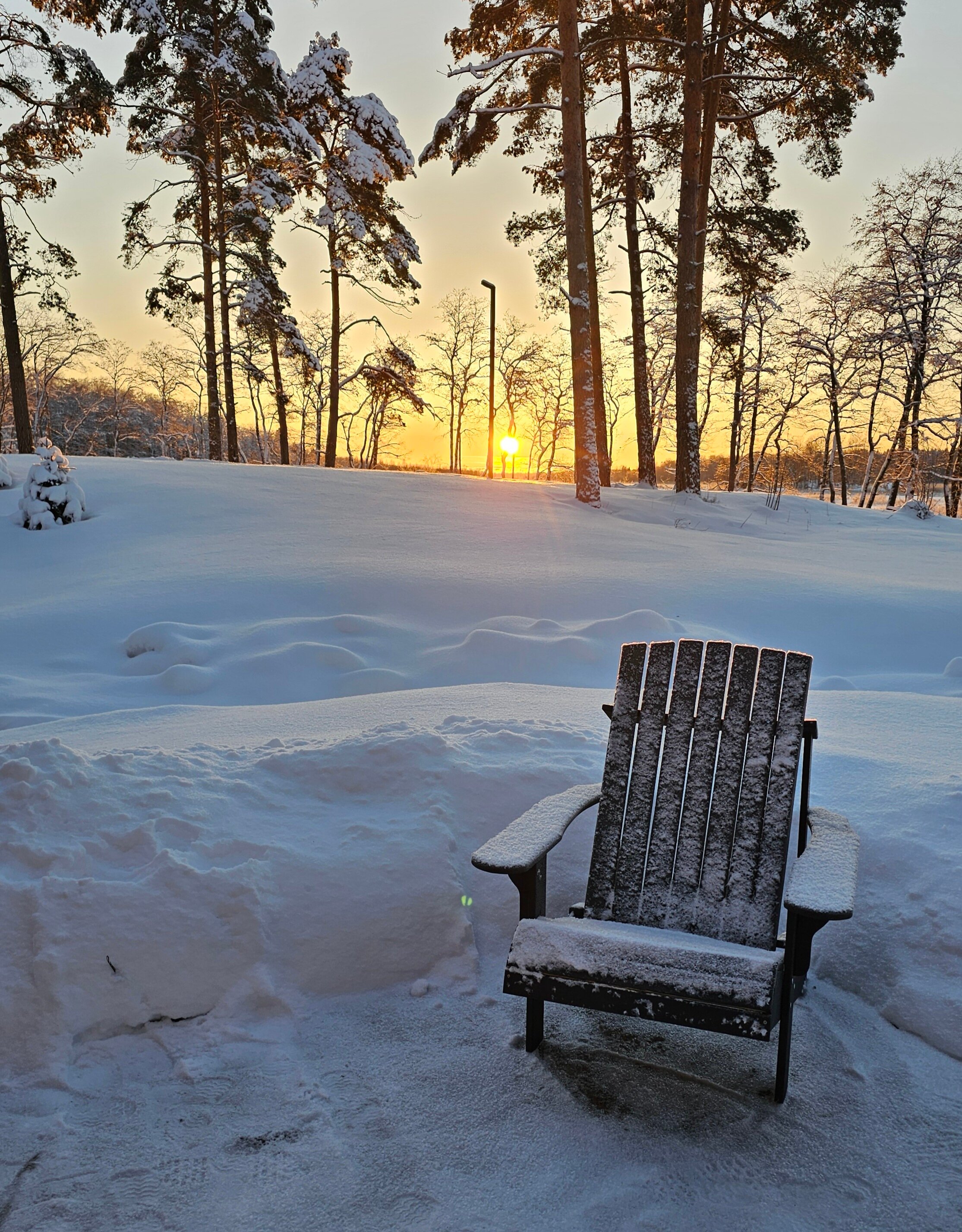 Фото Zimino Park
