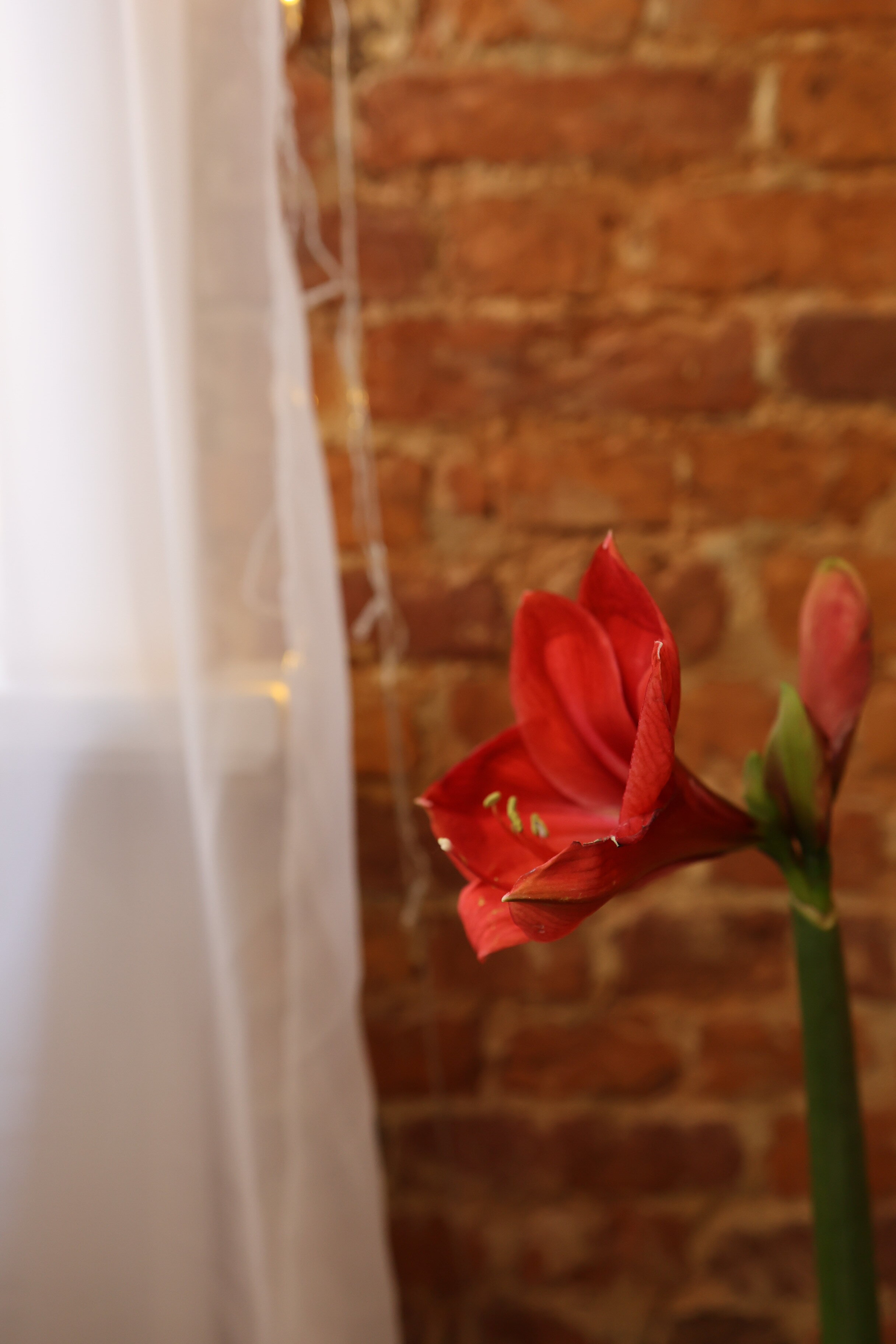 Фото Loft and Home Apartments