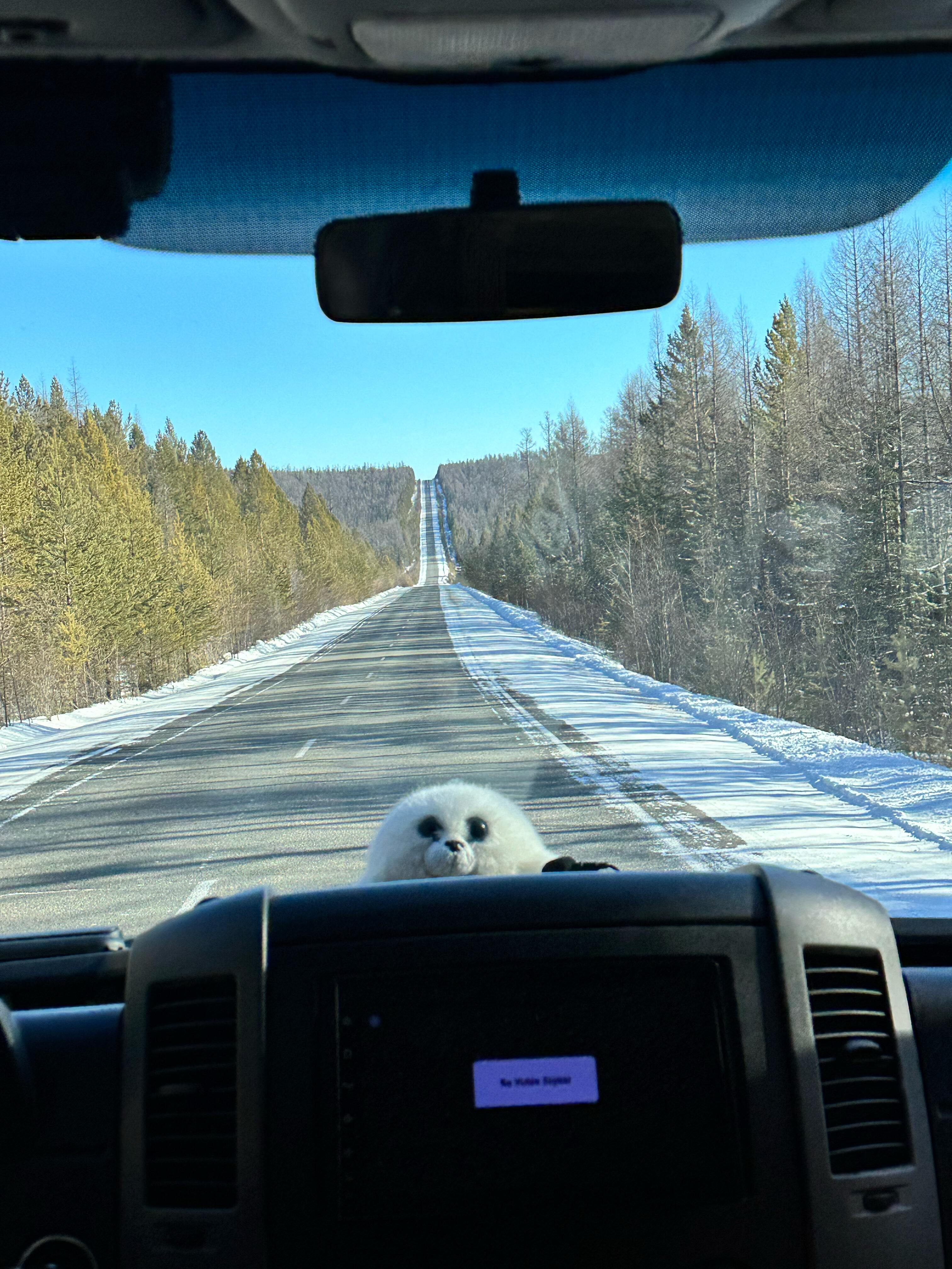 Фото Ветер странствий