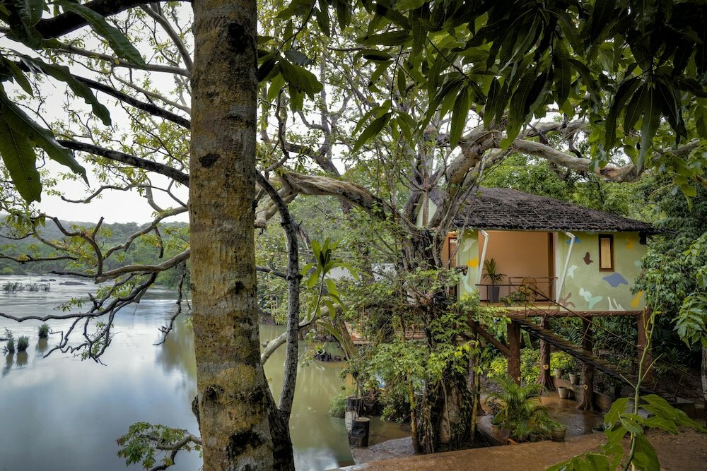 Фото Whistling Woodzs Resort