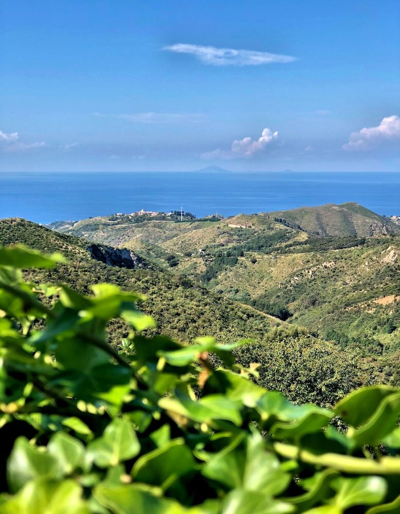 Фото Villa Musolino Country Resort