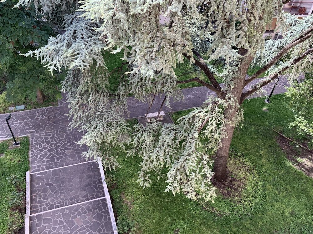 Фото Venice Sweet Home