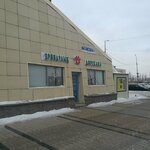 Veterinary pharmacy (Bógenbaı batyr dańǵyly, 69), veterinary pharmacy