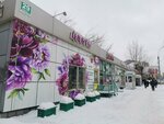 Liana (ulitsa Koshurnikova, 29к1) ، محل زهور