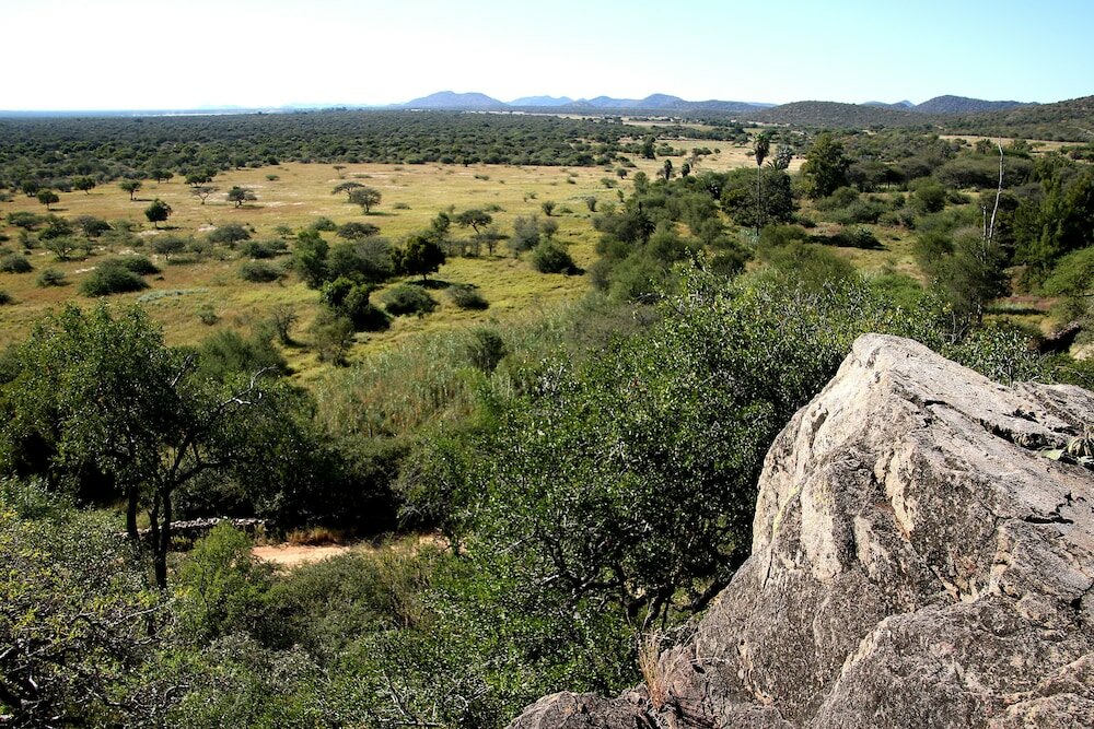 Фото Ghaub Nature Reserve & Farm