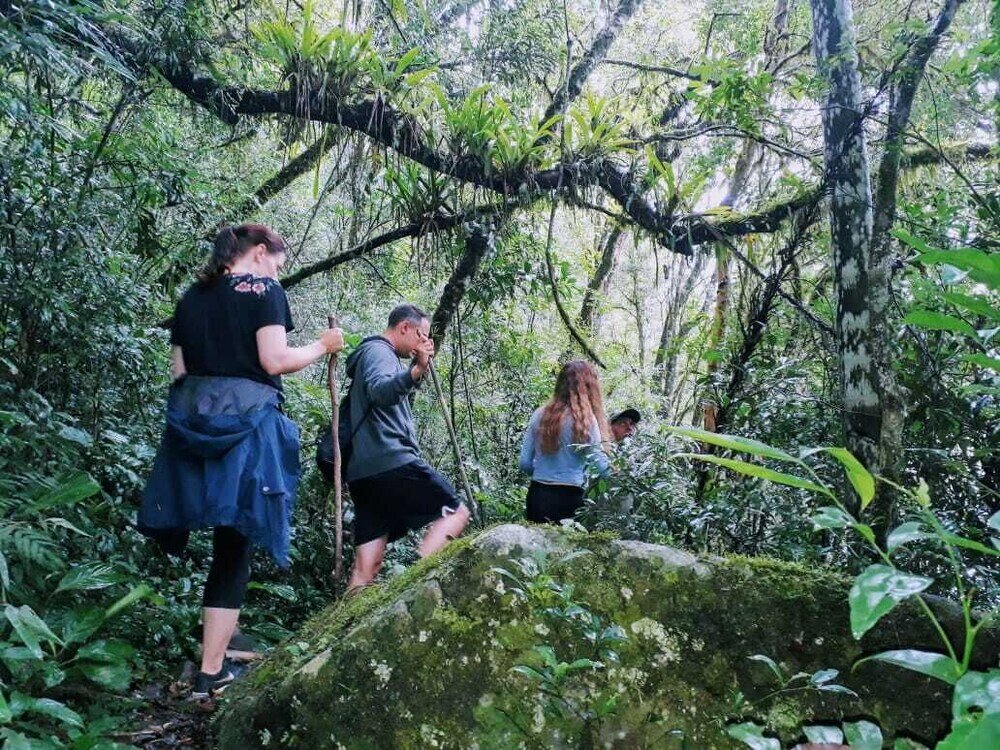 Фото Margay - Reserva Natural y Lodge