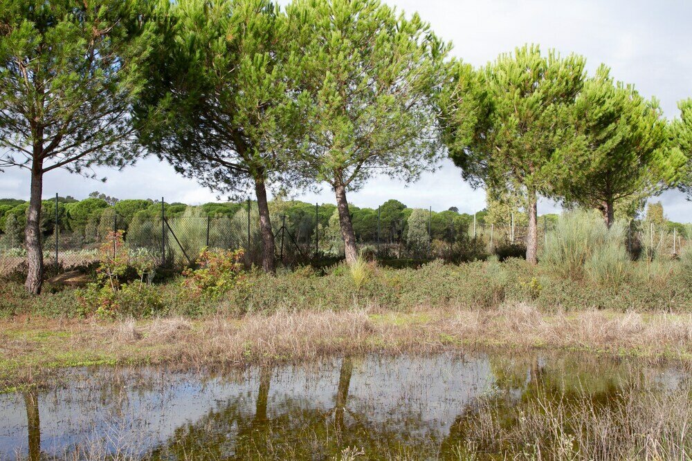 Фото Vivienda Rural el Retorno