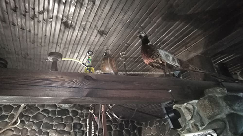 Фото At the Doctor