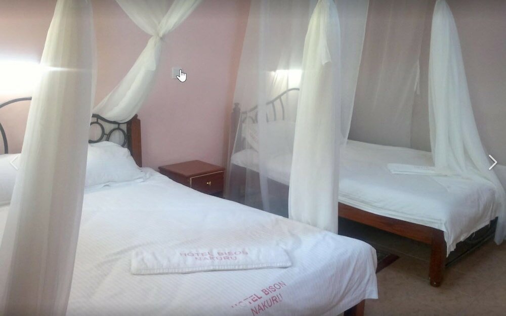 Фото Bison Hotel