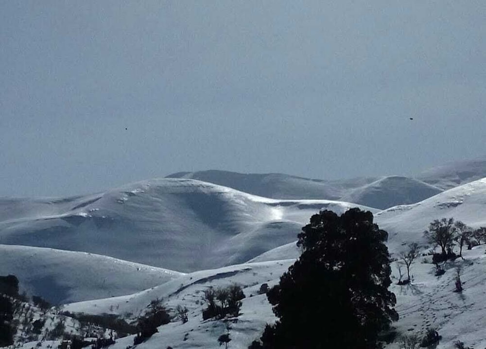 Фото Psiloritis Retreat Hotel