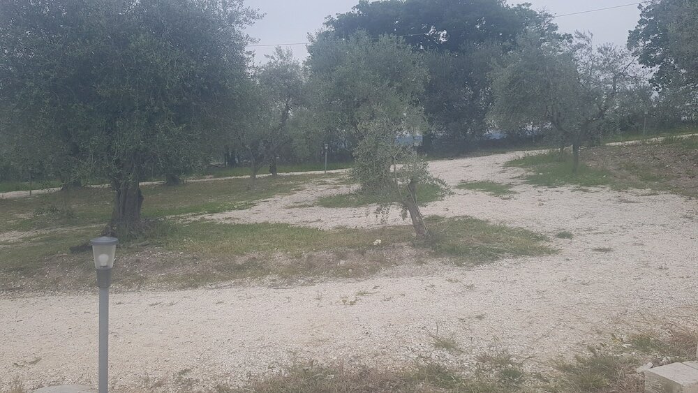 Фото Verde Matematico