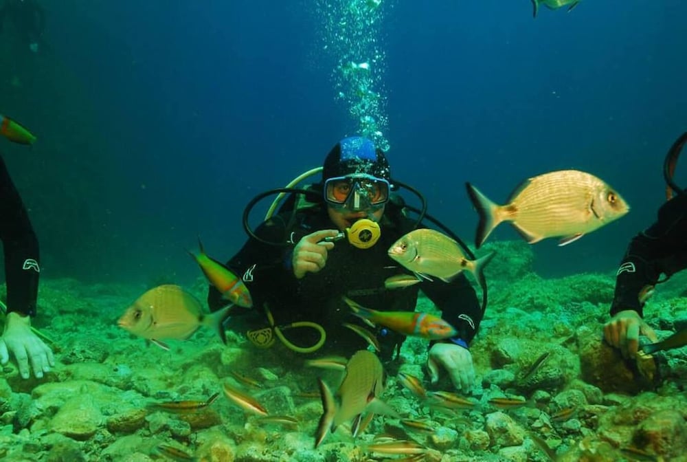 Фото Kalypso Cretan Village Resort & SPA