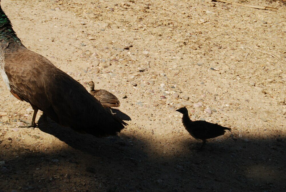 Фото Vivienda Rural el Retorno