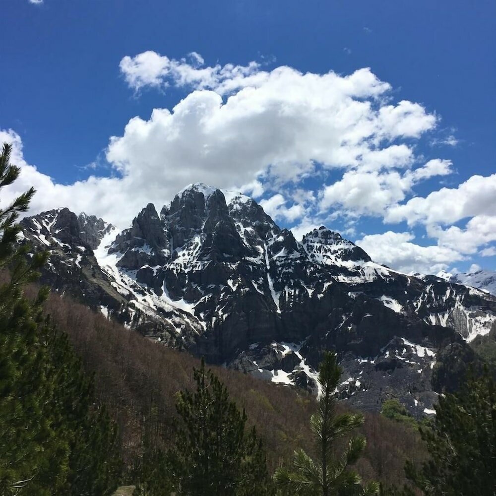 Фото Alpine House Thethe